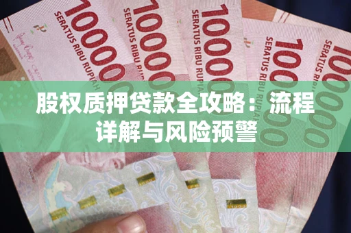 北京股权质押贷款全攻略：流程详解与风险预警
