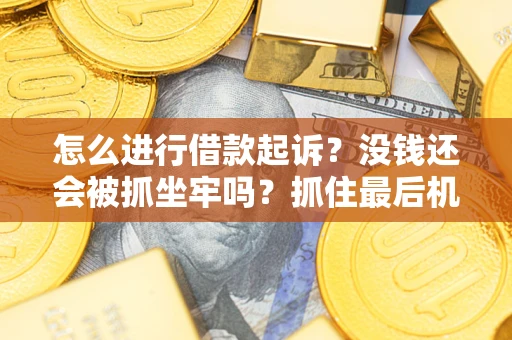 北京怎么进行借款起诉？没钱还会被抓坐牢吗？抓住最后机会！