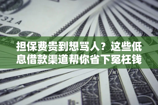 北京担保费贵到想骂人？这些低息借款渠道帮你省下冤枉钱