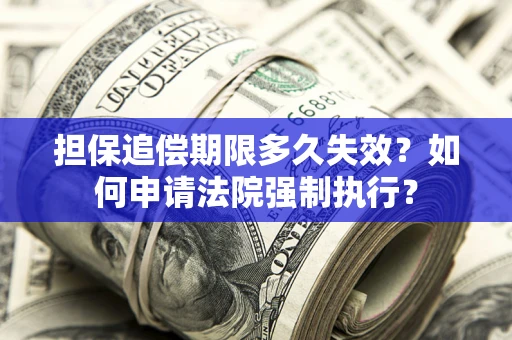 北京担保追偿期限多久失效？如何申请法院强制执行？