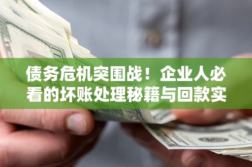北京债务危机突围战！企业人必看的坏账处理秘籍与回款实战指南